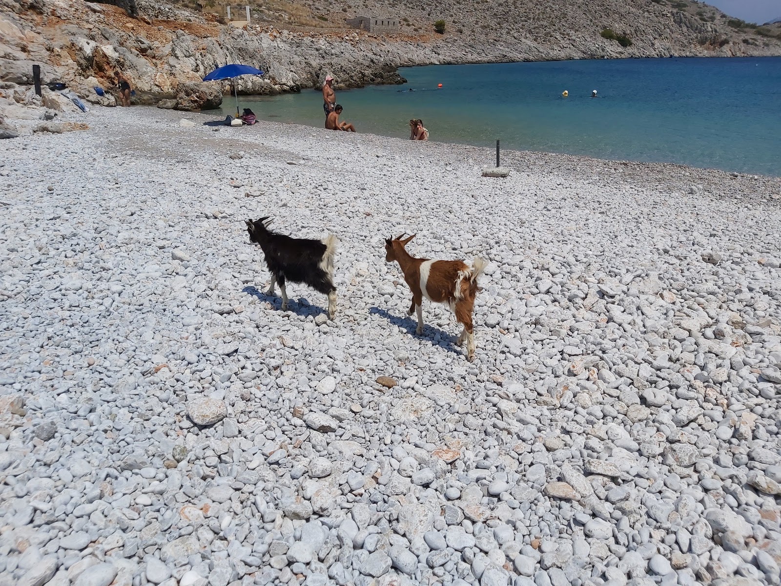 Marathounda Bay'in fotoğrafı düz bir kıyı şeridi ile birlikte