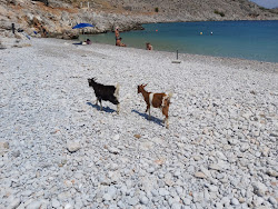 Marathounda Bay'in fotoğrafı düz bir kıyı şeridi ile birlikte