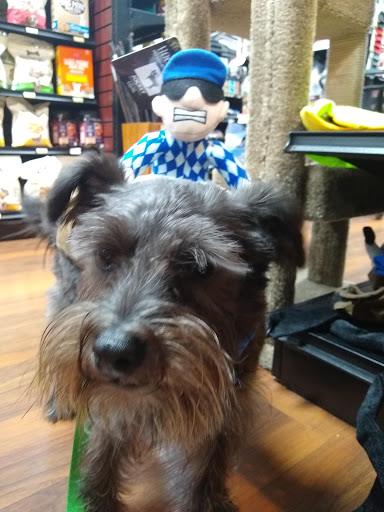 Shopping Mall «Shops At Ledgebrook», reviews and photos, 200 New Hartford Rd, Winsted, CT 06098, USA