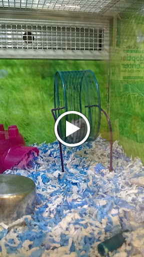 Pet Supply Store «PetSmart», reviews and photos, 1297 Promenade Pl, Eagan, MN 55121, USA