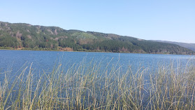 Lago Lleulleu