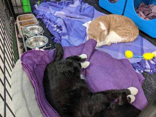 Pet Supply Store «Pet Supplies Plus», reviews and photos, 702 W Northland Ave, Appleton, WI 54914, USA