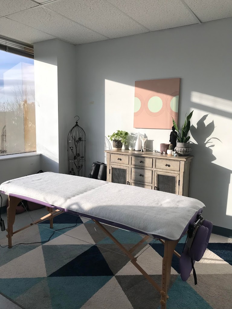 Sonia Marie Massage Therapy 22043