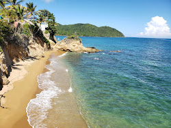 Photo de Playa Emajaguas zone sauvage