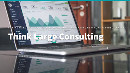 Think Large Consulting LLC