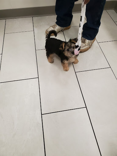 Pet Supply Store «Petco Animal Supplies», reviews and photos, 8909 Branch Ave d, Clinton, MD 20735, USA