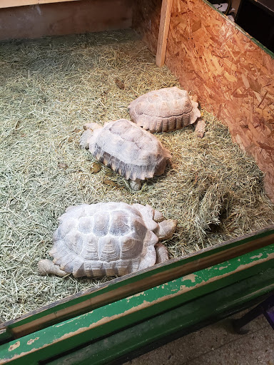 Pet Store «Off The Hook Exotics Pet Shop», reviews and photos, 926 5th Ave, Coraopolis, PA 15108, USA