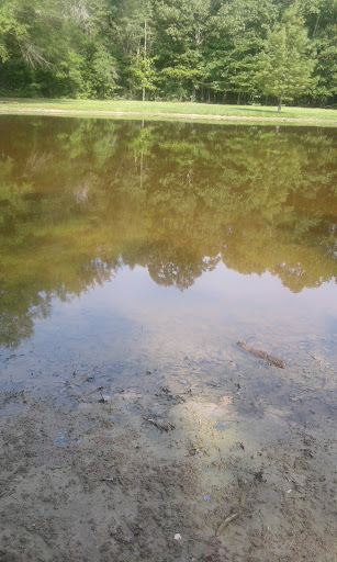 National Park «Shiloh National Military Park», reviews and photos, 1055 Pittsburg Landing Rd, Shiloh, TN 38376, USA