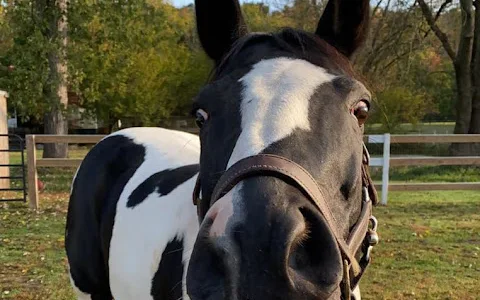 Grayrock Farm Sanctuary image