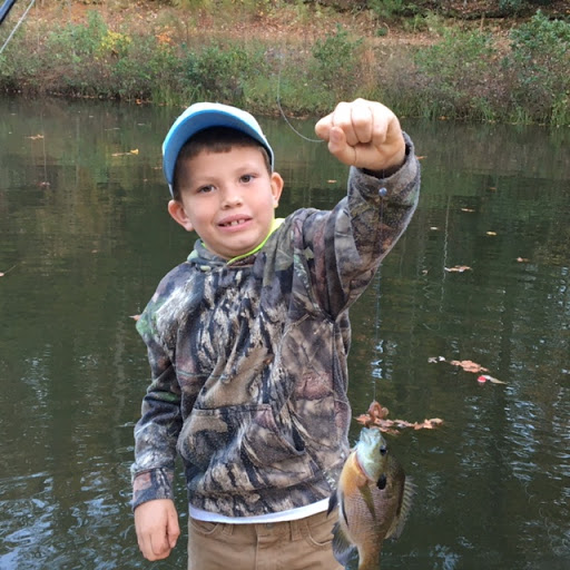 Auto Insurance Agency «State Farm: Sig Holcomb III», reviews and photos