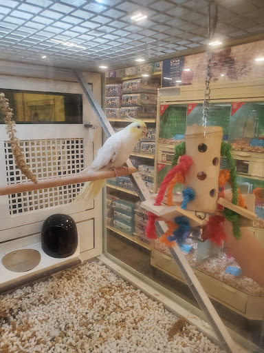 Pet Supply Store «PetSmart», reviews and photos, 1115 Vidina Pl, Oviedo, FL 32765, USA