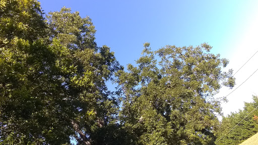 Golf Club «Monroe Golf and Country Club», reviews and photos, 1414 Alcovy St, Monroe, GA 30655, USA