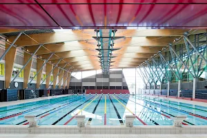 UCD Swimming Pool image