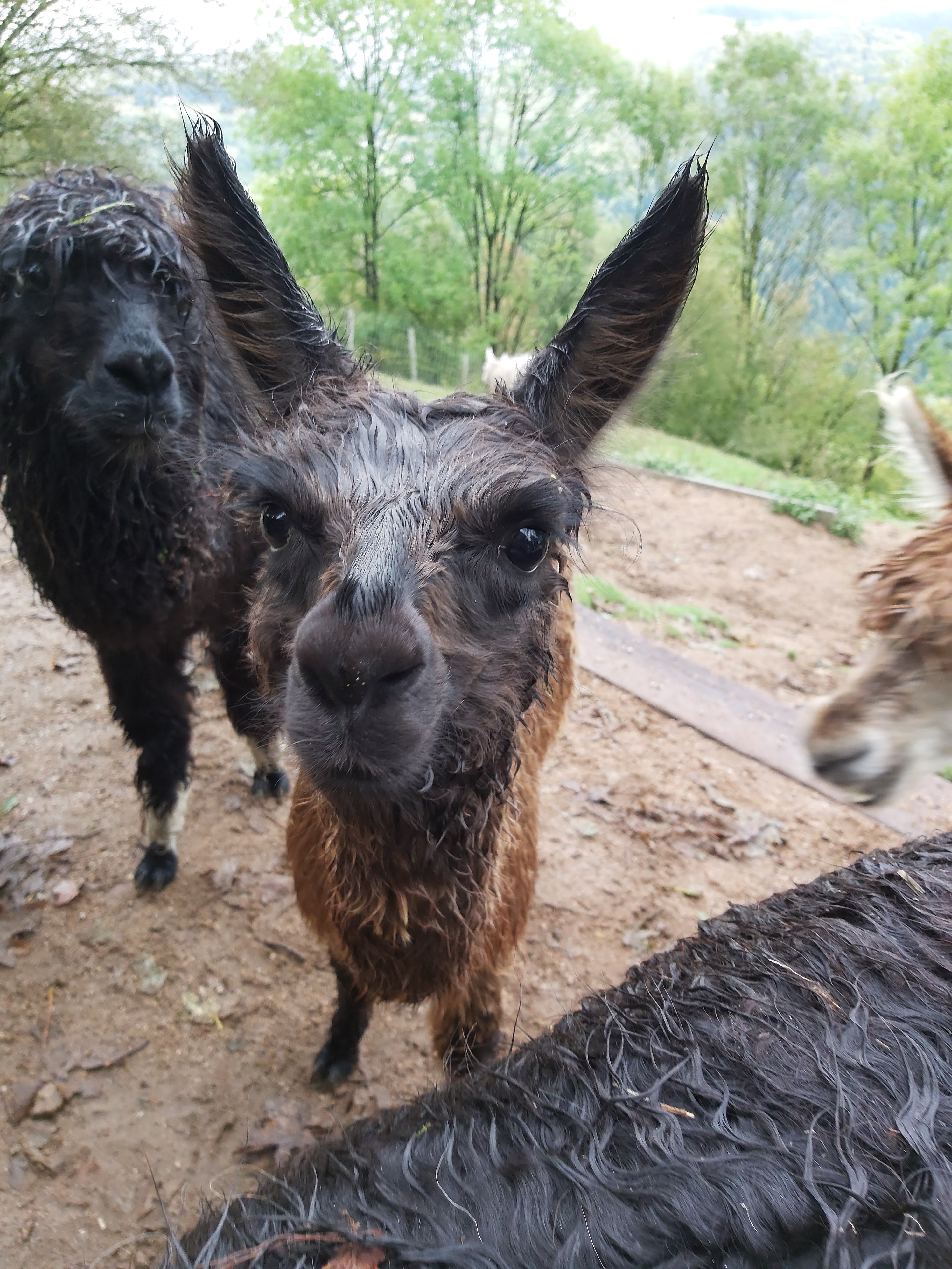 Photo n° 6 de l'avis de Mo.a fait le 06/10/2019 à 15:33