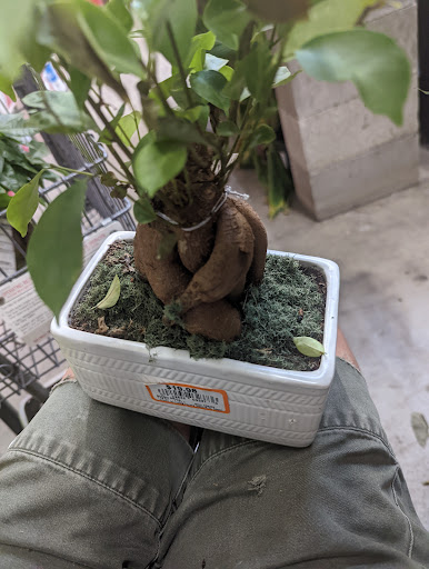 Home Improvement Store «The Home Depot», reviews and photos, 951 Westgate Way, Wylie, TX 75098, USA