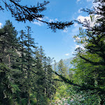 Photo n° 10 de l'avis de TIKA.P fait le 19/08/2021 à 15:44 pour Pont d'Espagne à Cauterets