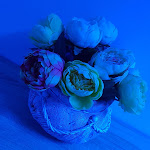 Photo n°7 de l'avis de Andreea.a fait le 16/08/2020 à 12:59 sur le  hotel Euromar à Rimini