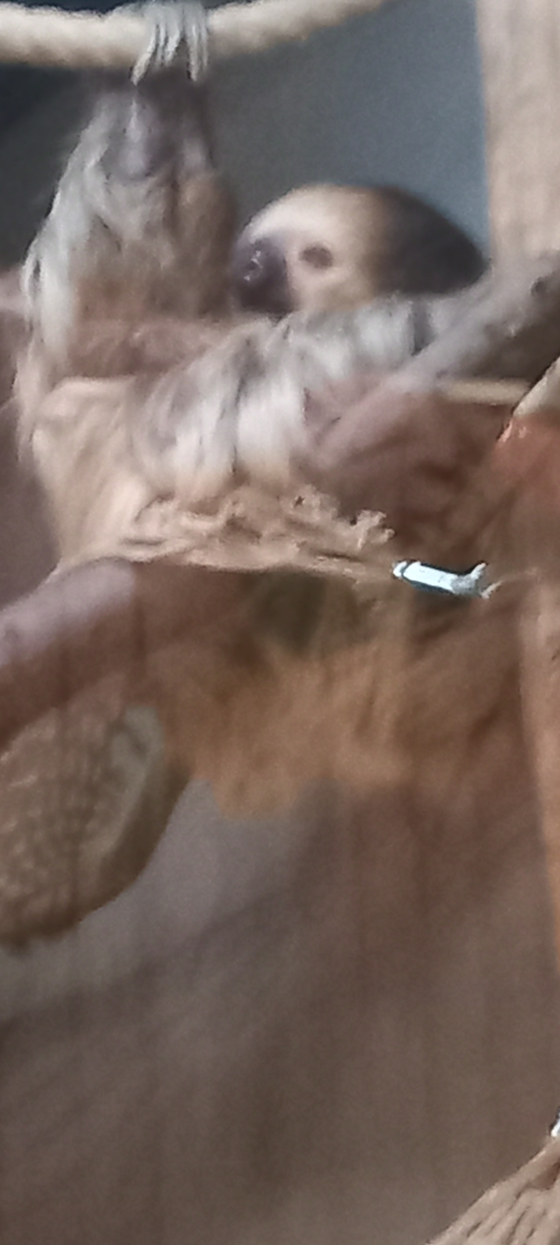 Photo n° 4 de l'avis de Laurent.e fait le 20/09/2023 à 12:16