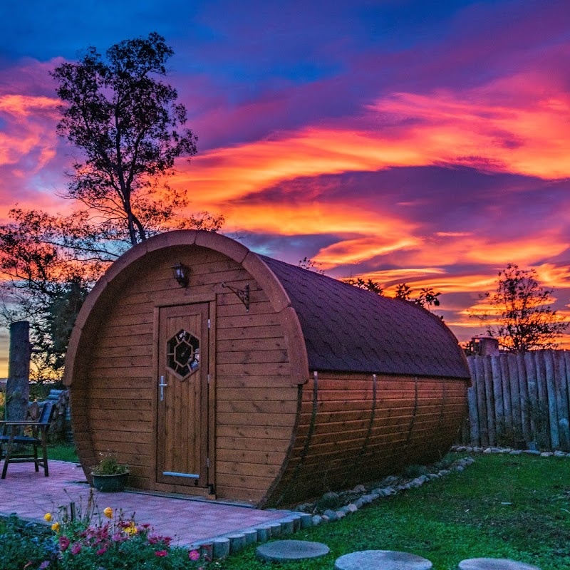 Marlborough Wine Barrel Cabins