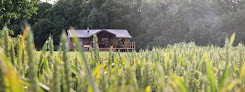 Lantern & Larks Exton Glamping Site