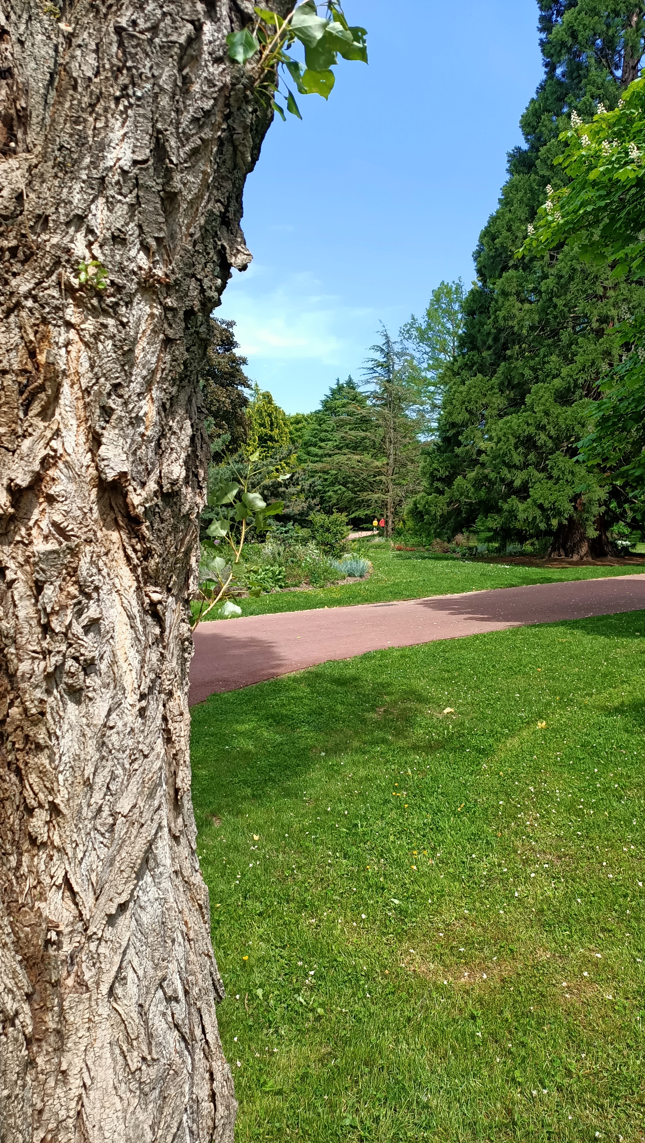 Photo n° 3 de l'avis de Stéphane.e fait le 16/05/2022 à 07:43