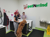 petNmind Naturals & Self-Wash - Photo 7 - Car repair in Coconut Creek, FL, Coral Springs