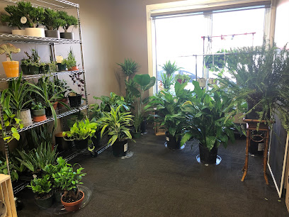 Root Bound Plant Shop