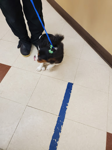 Pet Supply Store «PetSmart», reviews and photos, 3370 Shoppers Dr, McHenry, IL 60050, USA