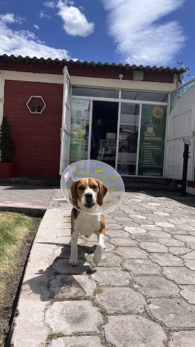 Clinica Veterinaria VET-HOUSE - Médico