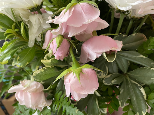 Florist «Colonial Florist», reviews and photos, 4160 Curry Ford Rd, Orlando, FL 32806, USA