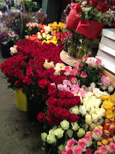 Florist «Brattle Square Florist», reviews and photos, 31 Brattle St, Cambridge, MA 02138, USA