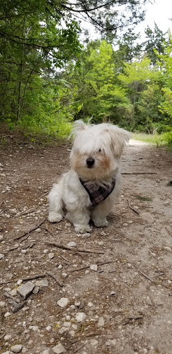 Nature Preserve «Oak Cliff Nature Preserve», reviews and photos, 2875 Pierce Street, Dallas, TX 75233, USA