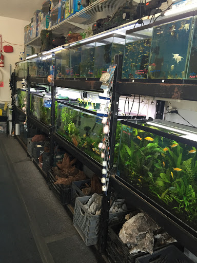 Pet Supply Store «Lotus Aquarium», reviews and photos, 14704 Hawthorne Blvd, Lawndale, CA 90260, USA