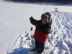 Worzella Pines Park - photo 28