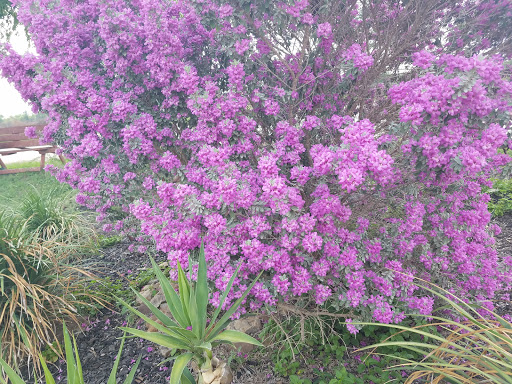 RV Park «Hidden Valley RV Park», reviews and photos, 5706 Coleman Way, Von Ormy, TX 78073, USA