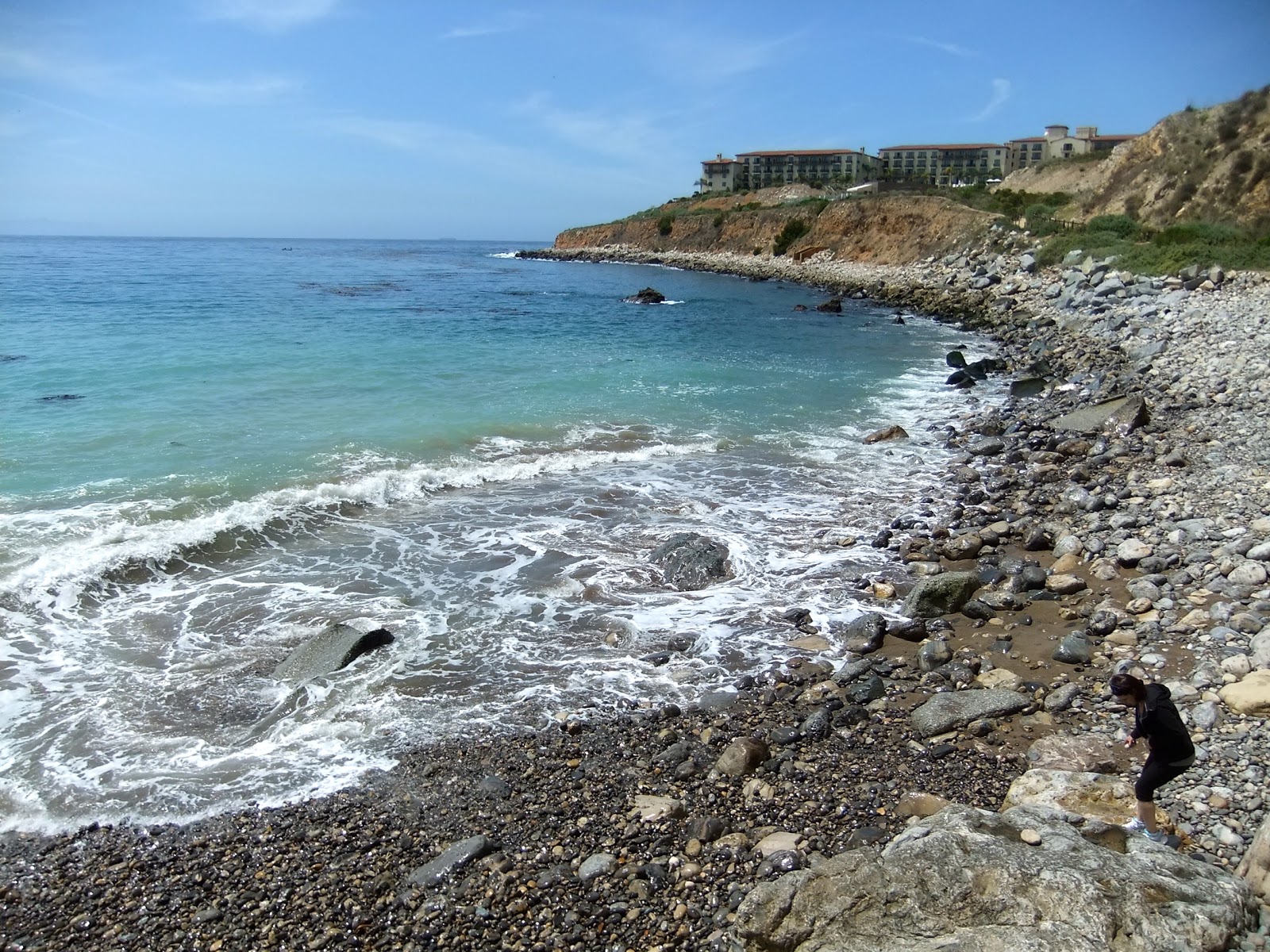 Photo de Terranea Beach zone sauvage
