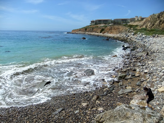 Terranea Beach