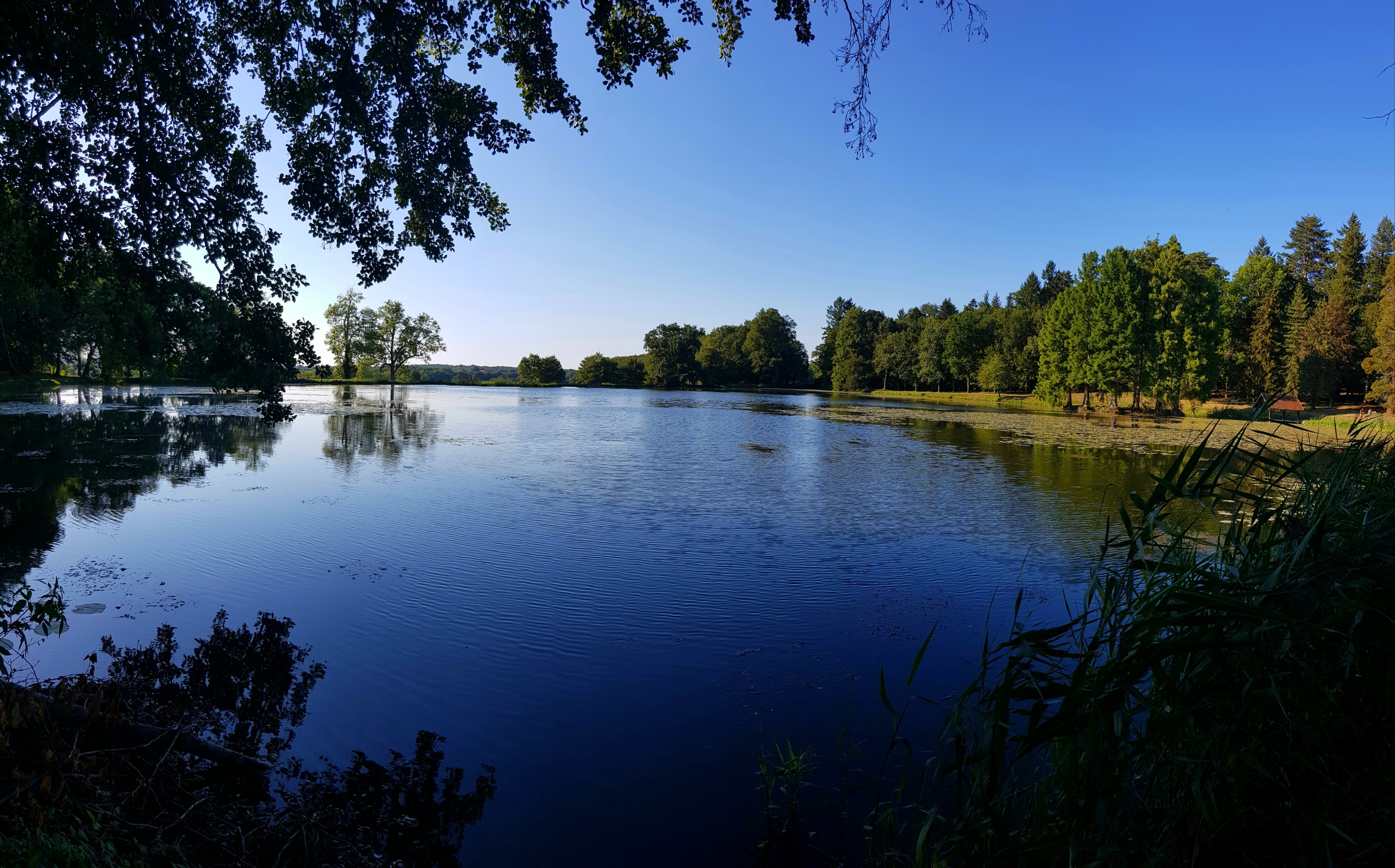 Photo n° 3 de l'avis de Lionel.L fait le 29/08/2019 à 11:24