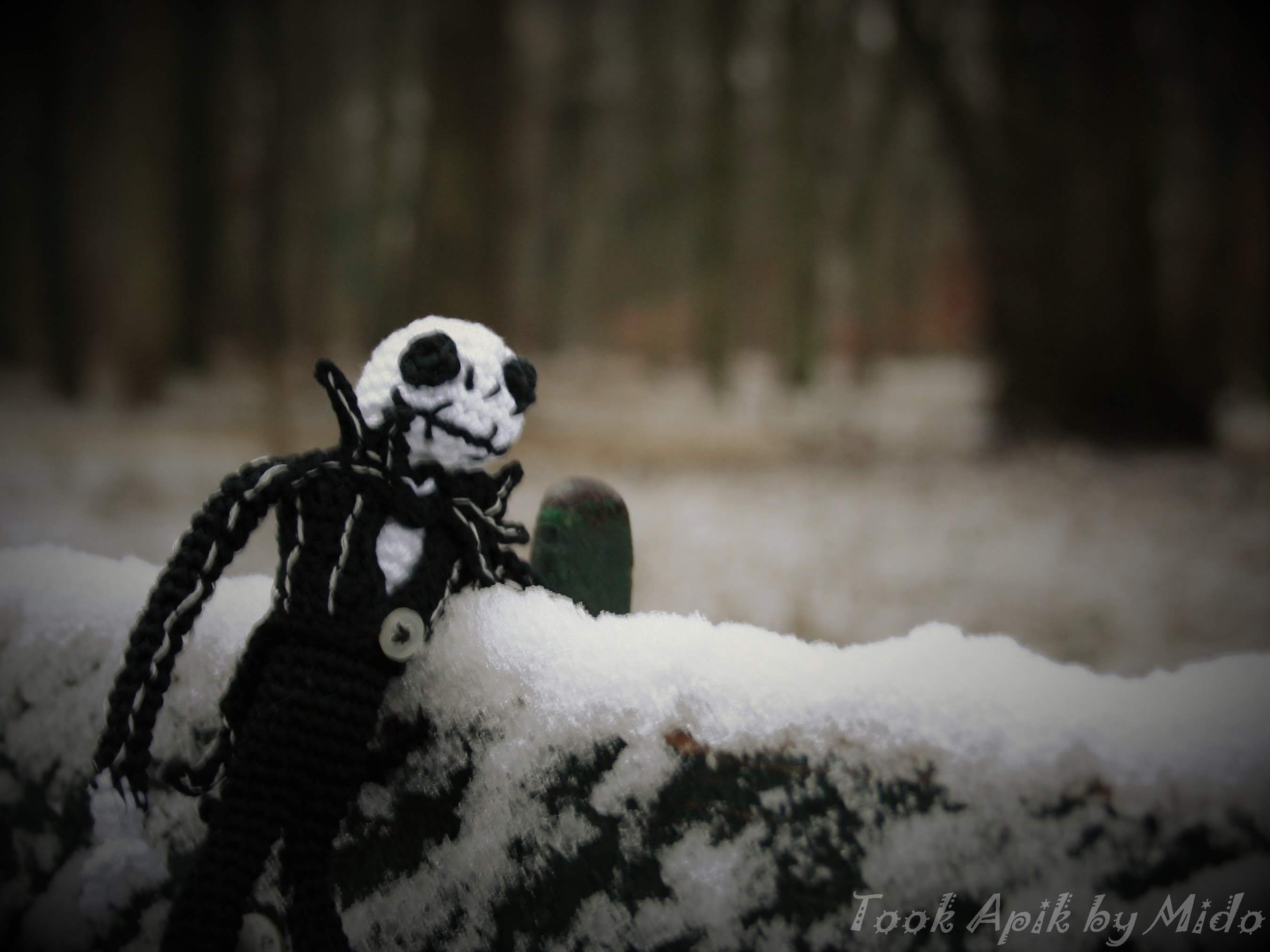 Photo n° 7 de l'avis de Mi.o fait le 26/06/2019 à 06:26