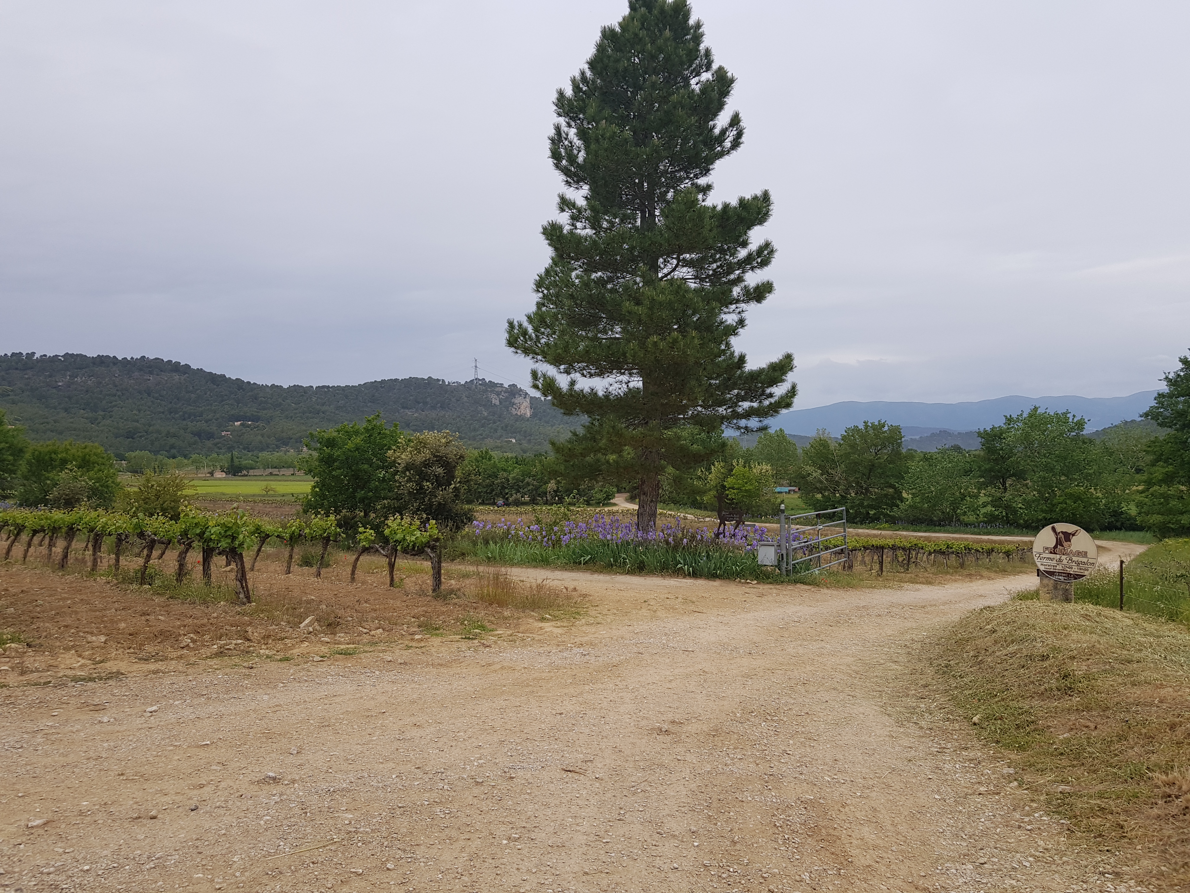 Photo n° 1 de l'avis de Adeline.a fait le 18/05/2019 à 08:45