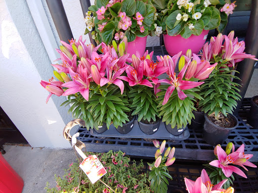 Hardware Store «Vision Ace Hardware», reviews and photos, 12830 Metro Pkwy, Fort Myers, FL 33912, USA