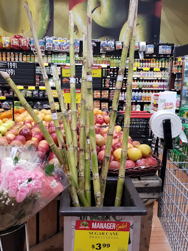 Supermarket «Fine Fare Supermarkets», reviews and photos, 656 Castle Hill Ave, Bronx, NY 10473, USA