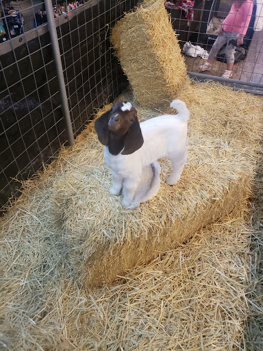 Animal Feed Store «Ashland Feed Store», reviews and photos, 120 Thompson St, Ashland, VA 23005, USA