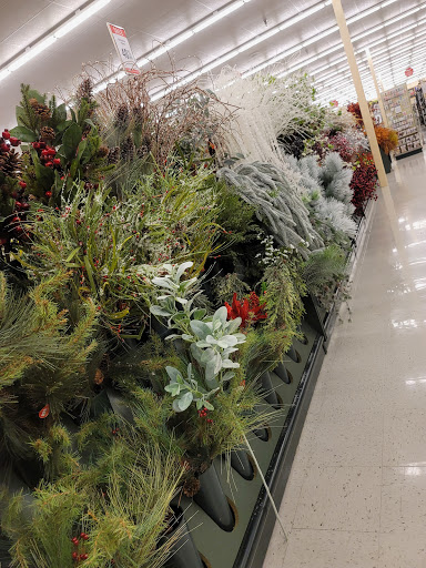 Craft Store «Hobby Lobby», reviews and photos, 2455 W International Speedway Blvd, Daytona Beach, FL 32114, USA