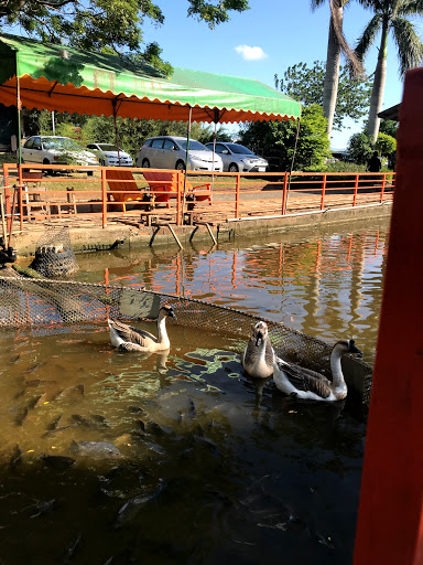 青松花卉農場（餐廳週二、週三公休） 的照片