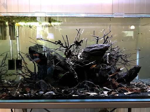 Tropical Fish Store «Arizona Nature Aquatics», reviews and photos, 3518 N Country Club Rd, Tucson, AZ 85716, USA