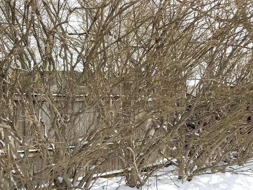 Florist «Frankstown Gardens», reviews and photos, 10158 Frankstown Rd, Pittsburgh, PA 15235, USA