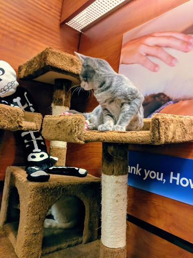 Pet Supply Store «PetSmart», reviews and photos, 4516 U.S. 9, Howell, NJ 07731, USA