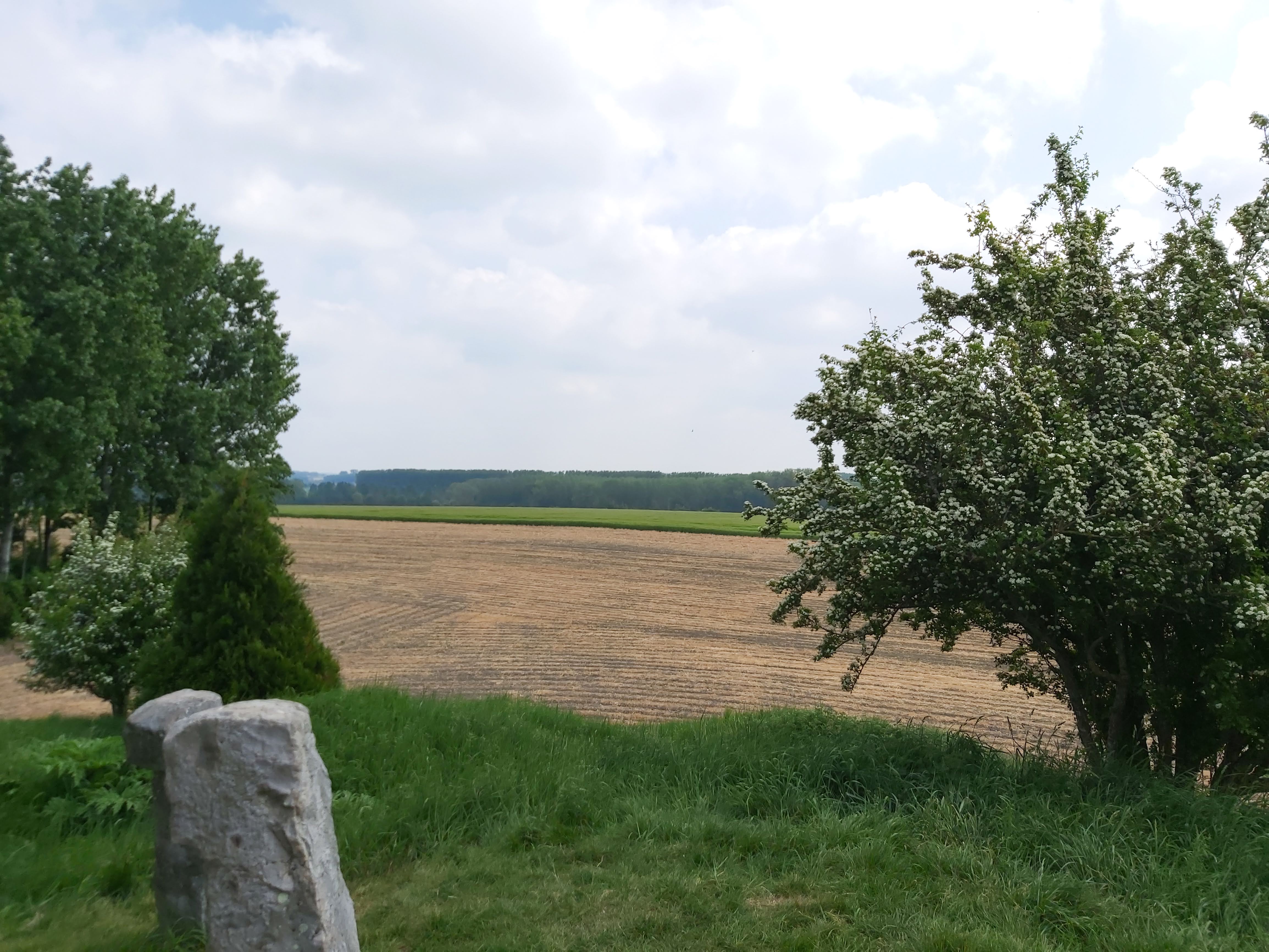 Photo n° 8 de l'avis de Gregory.e fait le 19/05/2022 à 15:31
