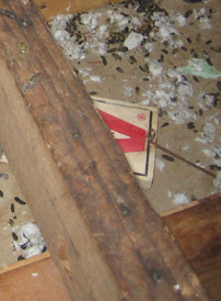 Taylors Pest Kontrol - Photo 5 - Car repair in , Baltimore